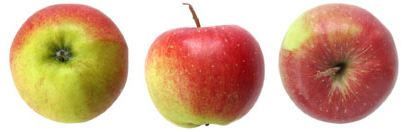 Apfel